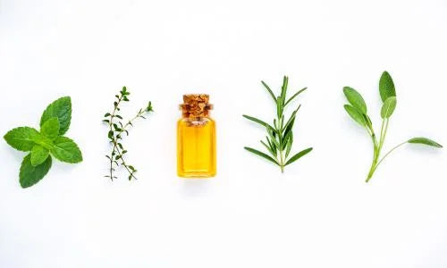 Essential Oils