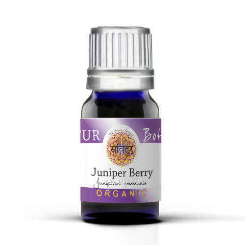 Juniper Berry