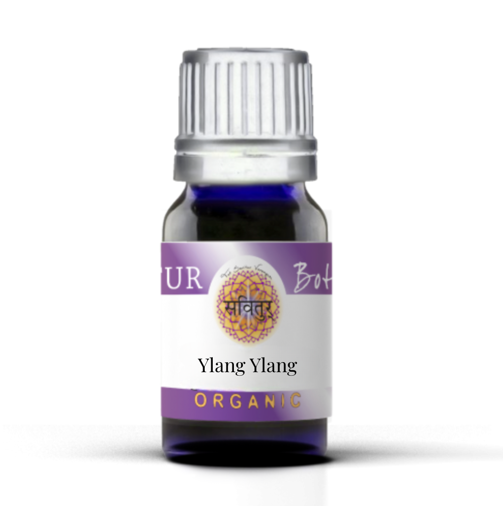 Ylang Ylang (India)
