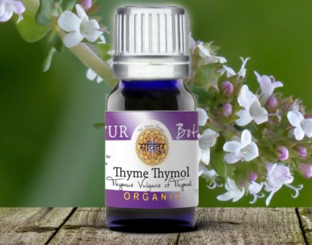 Thyme, Thymol (aka Red Thyme) (Bio-Certified)