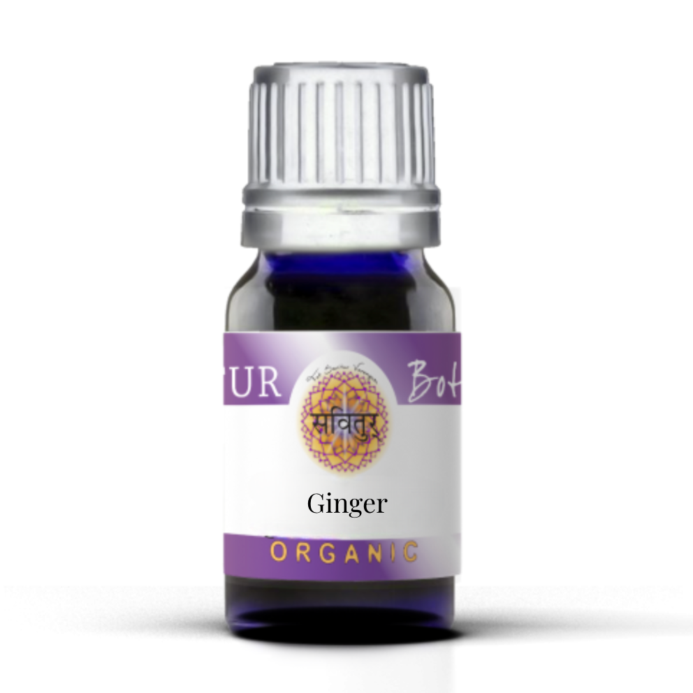 Ginger (ECOCERT)