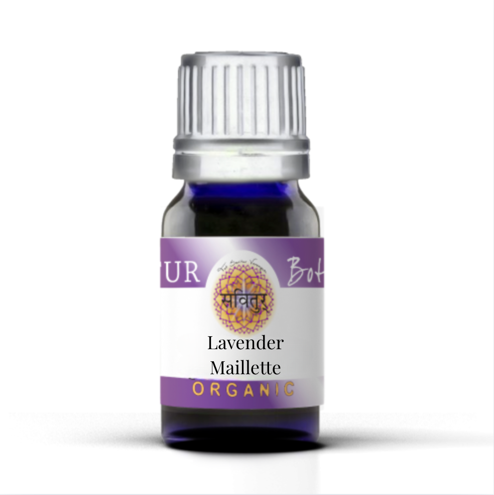 Lavender, Maillette