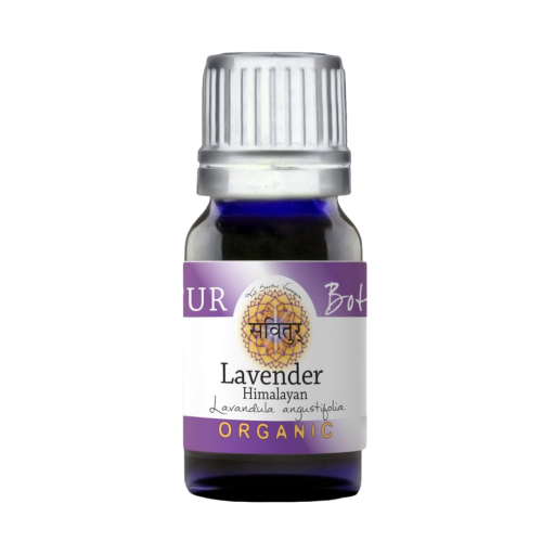 Lavender, Kashmir