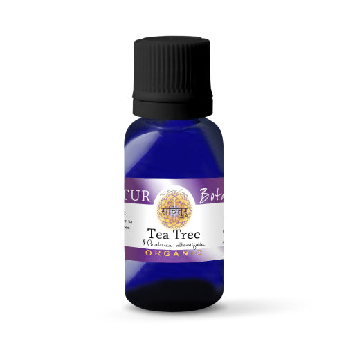 Tea Tree