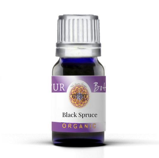 Black Spruce (Bio-Certified)