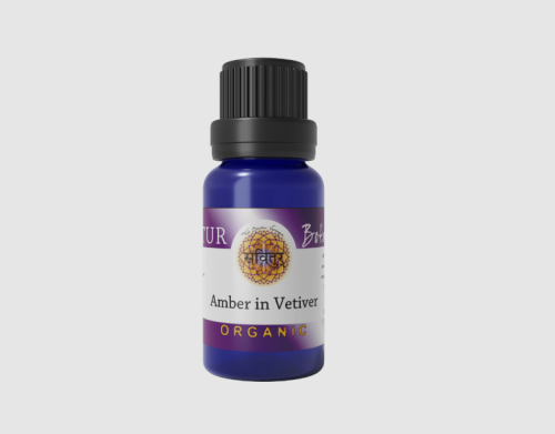 Amber in Vetiver