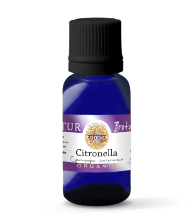 Citronella